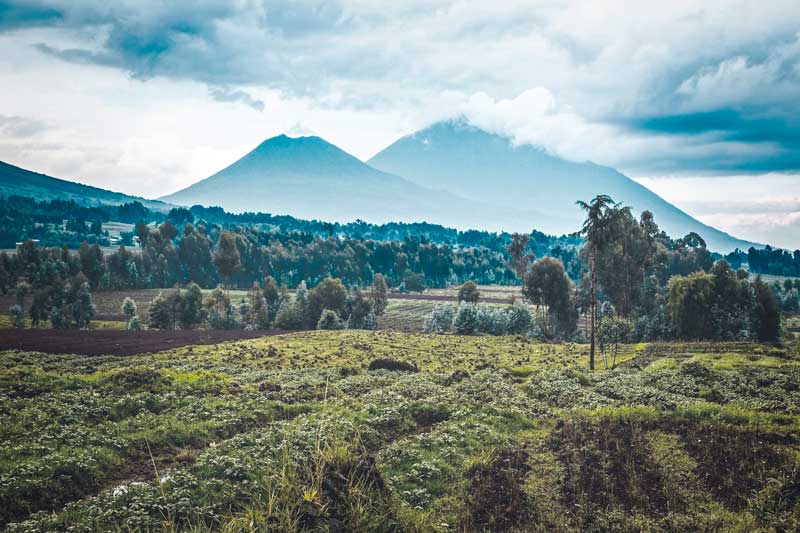 Recette de café OR : Burundi - Munkaze lavé pour filtre