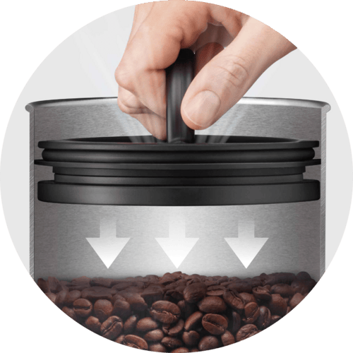 Sage the Bean Keeper – Airscape-binnendeksel