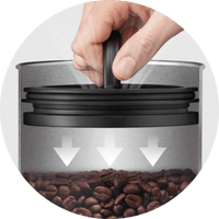 Sage the Bean Keeper – Airscape-binnendeksel