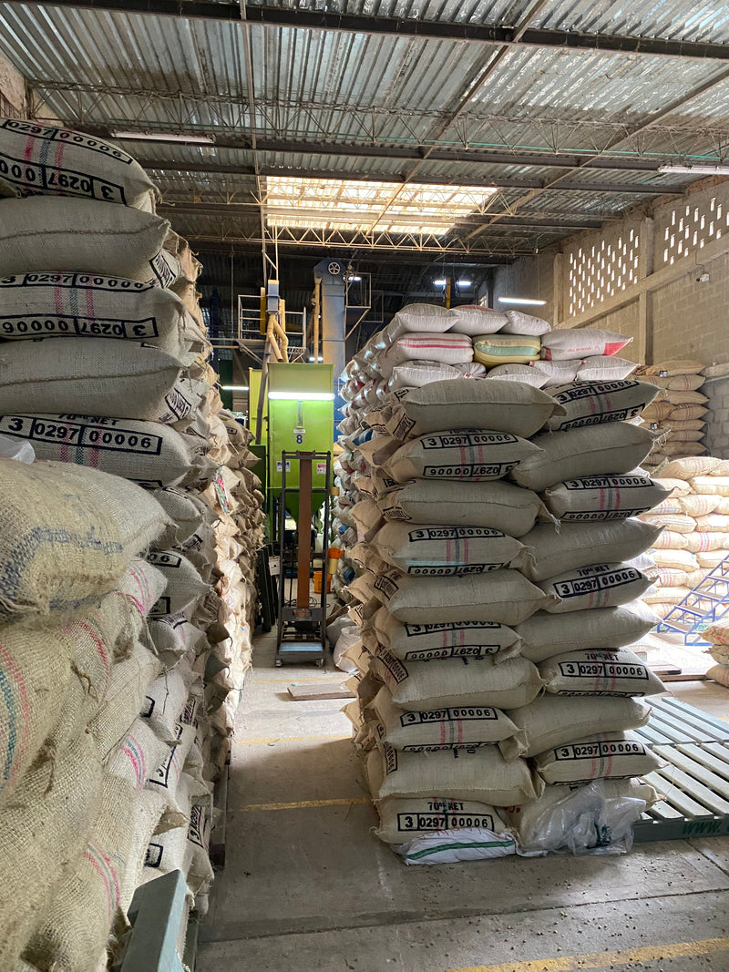 3. Sugarcane decafeïnering