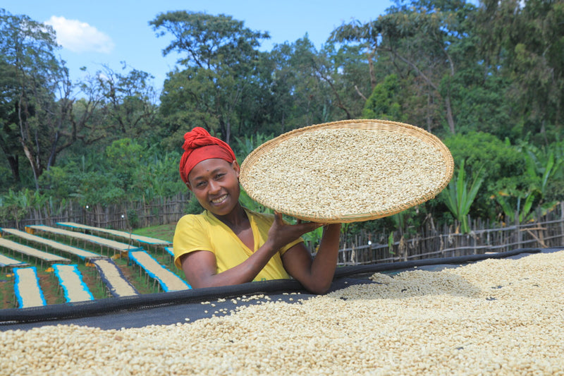 3. Roasting process