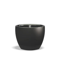 Black / Cappuccino