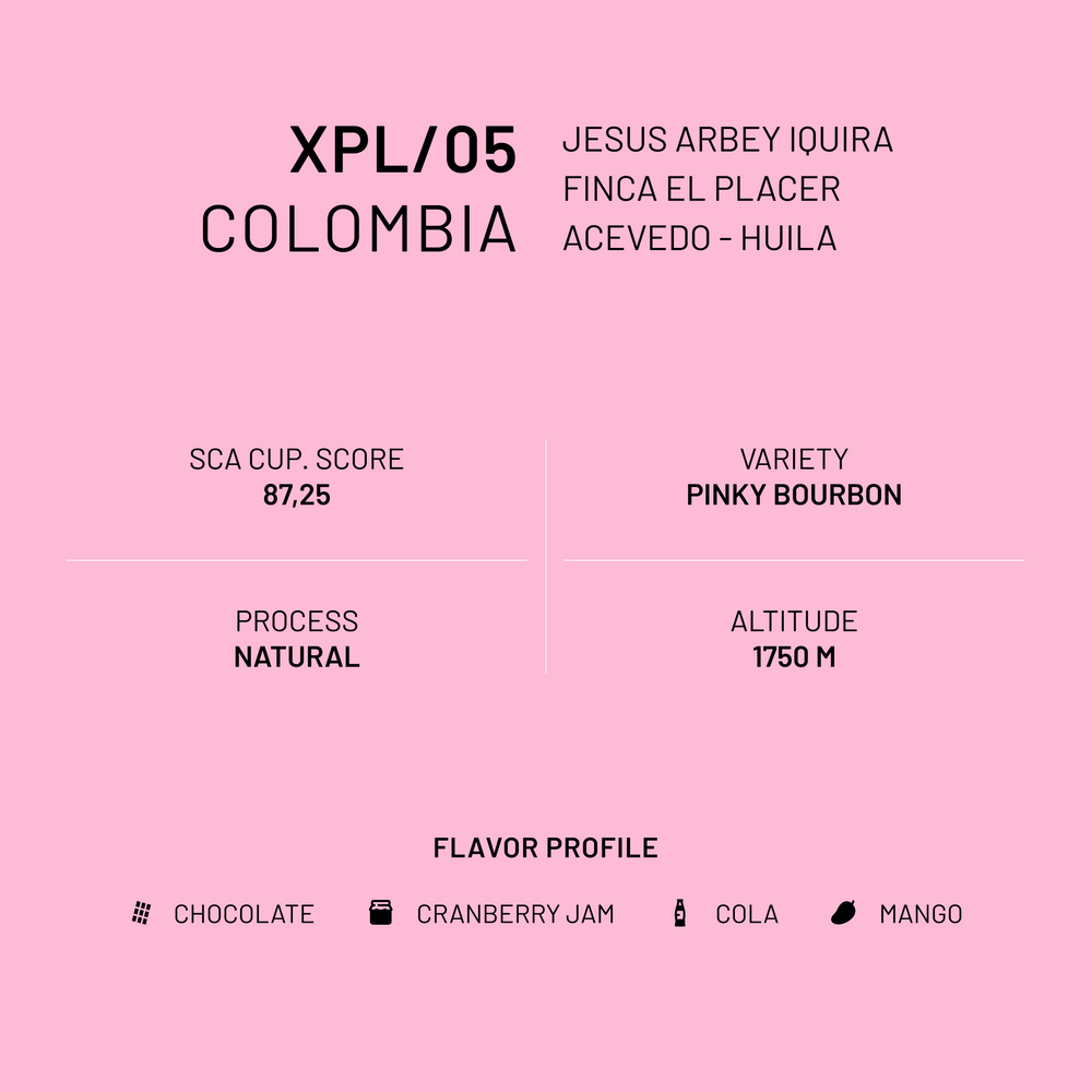 XPL/05 Colombia Pink Bourbon Natural