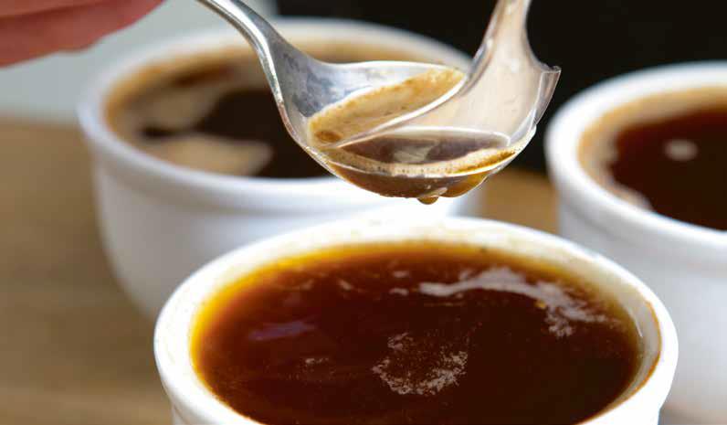 La Formation Barista Complète